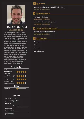 Havacılık Ve Uzay Uçak Mühendisi Cv Örnekleri cv indir
